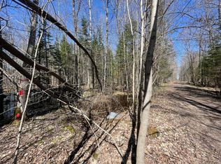 Elliot Rd, Wabeno, WI 54566