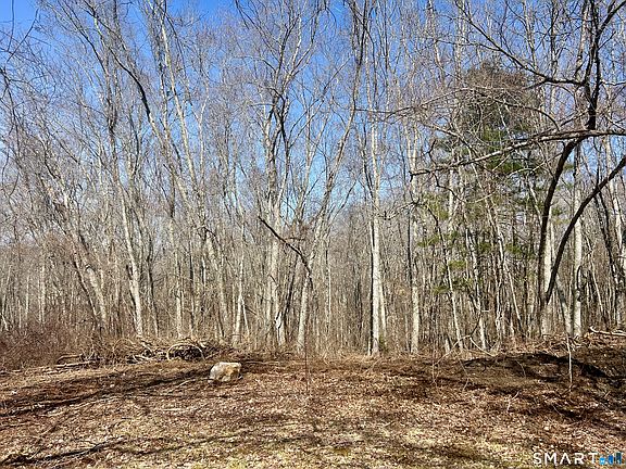 4th image of Reilly Road