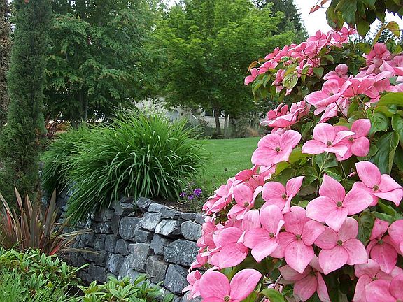 Front Yard Landscape