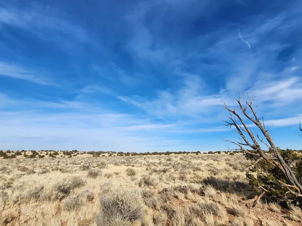 3067 S Dartmouth St, Williams, AZ 86046