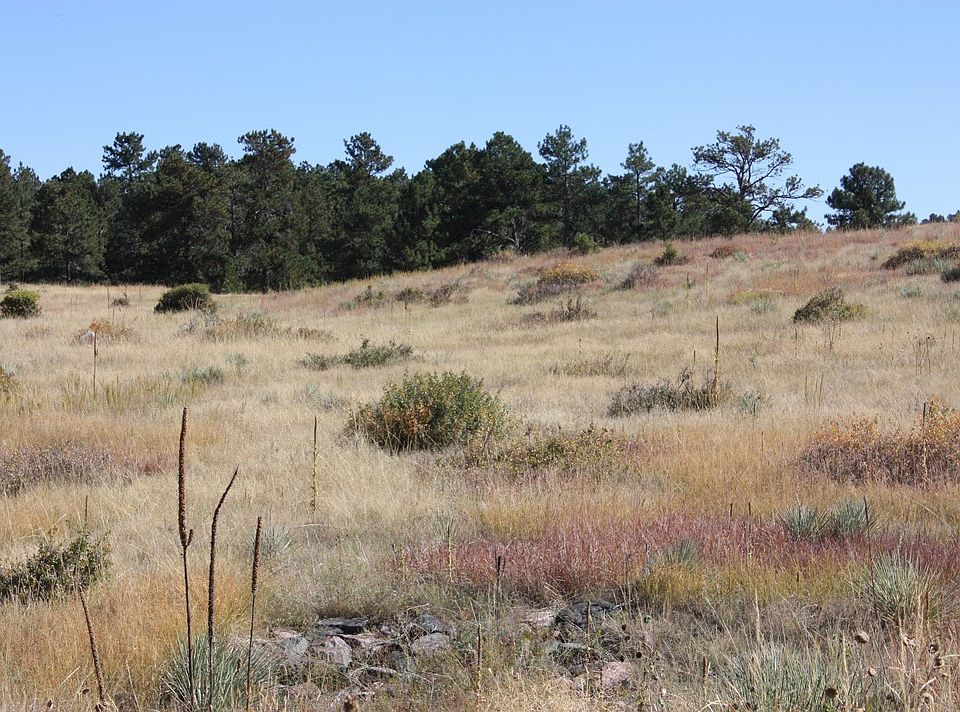 1st image of 9750 Sara Gulch Cir