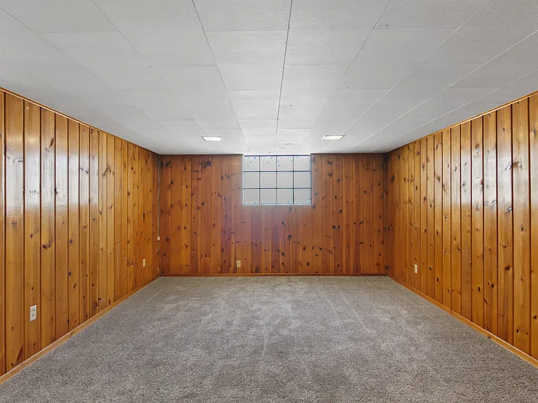 Basement Living Room