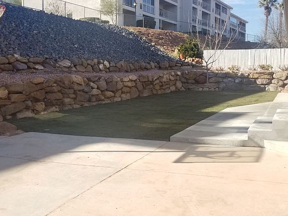 Lush back lawn