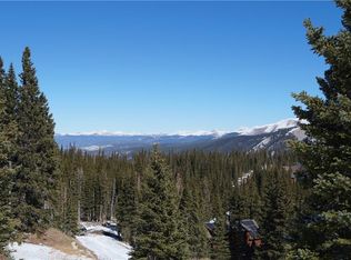13 Camron Ln, Breckenridge, CO 80424