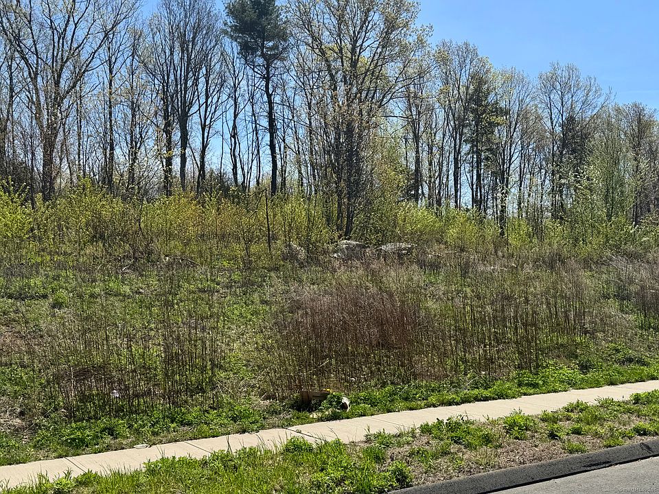 2nd image of 123 Corbin Ridge
