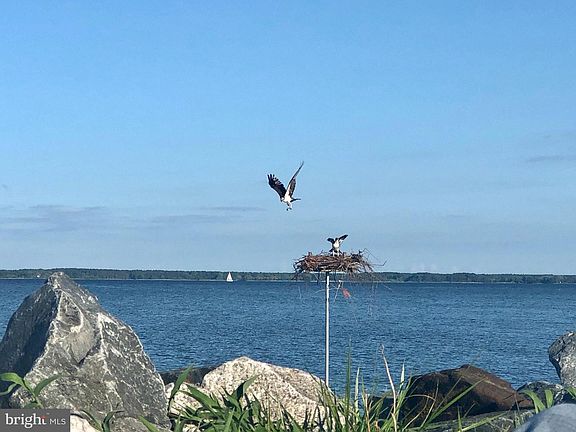 5th image of 105 Night Heron Ct