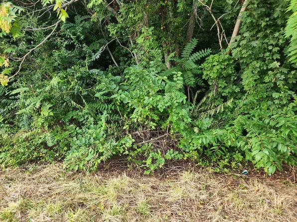 0 Oriole Ct Lot 28, Bedford, VA 24523