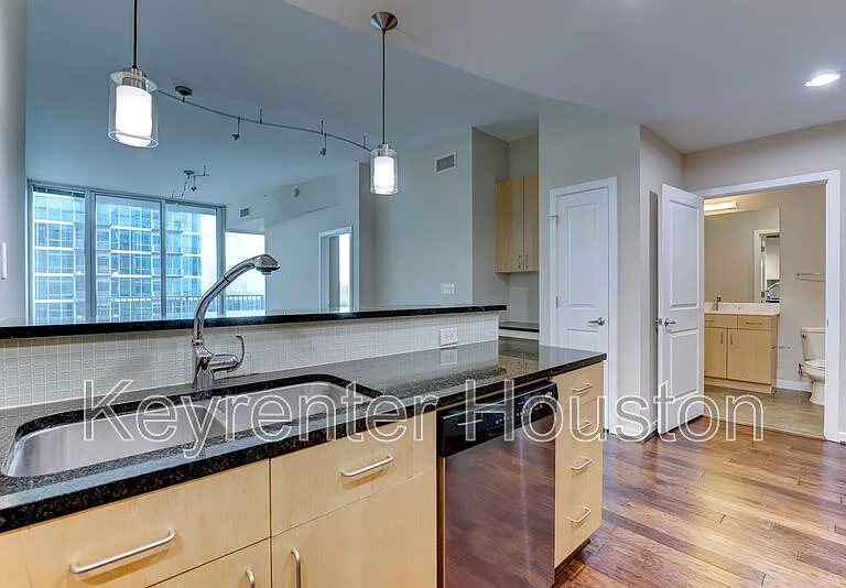 5925 Almeda Rd #2214 — Photo 7