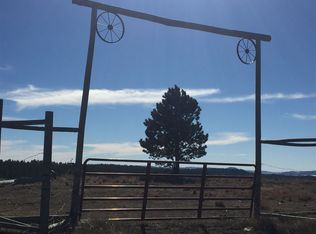 11815 W Argyle Rd, Custer, SD 57730