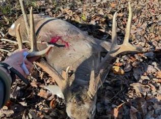 1579 Hammock Rd, Coy, AL 36435