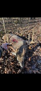 1579 Hammock Rd, Coy, AL, 36435