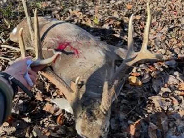 1579 Hammock Rd, Coy, AL 36435