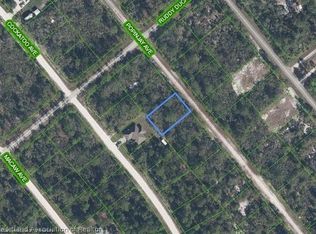 1218 Popinjay Ave, Lake Placid, FL 33852