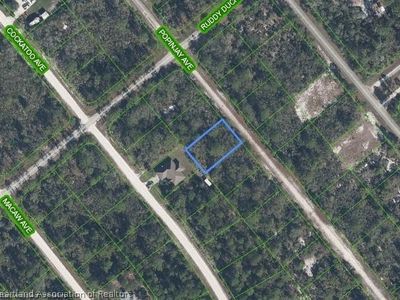 1218 Popinjay Ave, Lake Placid, FL, 33852