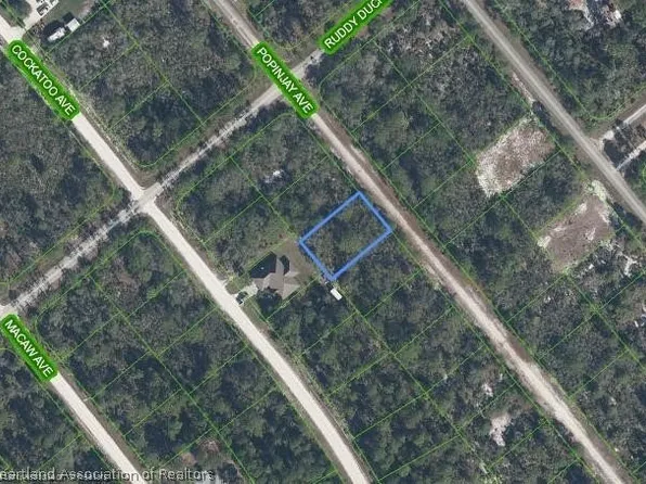 1218 Popinjay Ave, Lake Placid, FL 33852