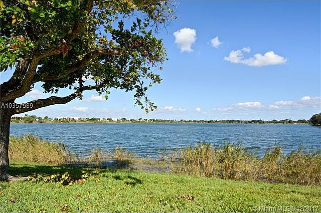 Welcome to the Lakes of Oakland Forest!