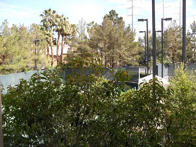 220 E Flamingo Rd #113 — Photo 23