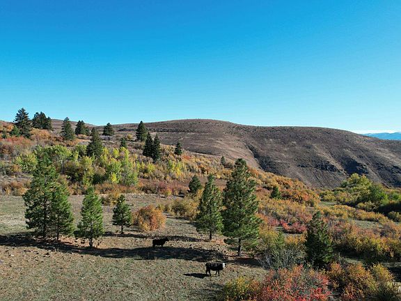 4th image of 1700 Jackson Creek Rd