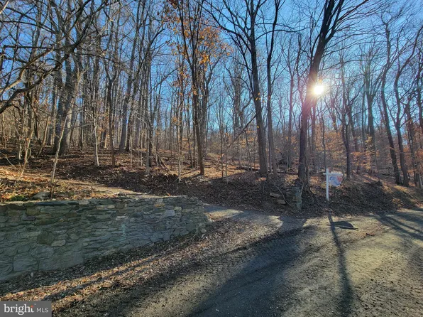 Furnace Mountain Rd, Lovettsville, VA 20180