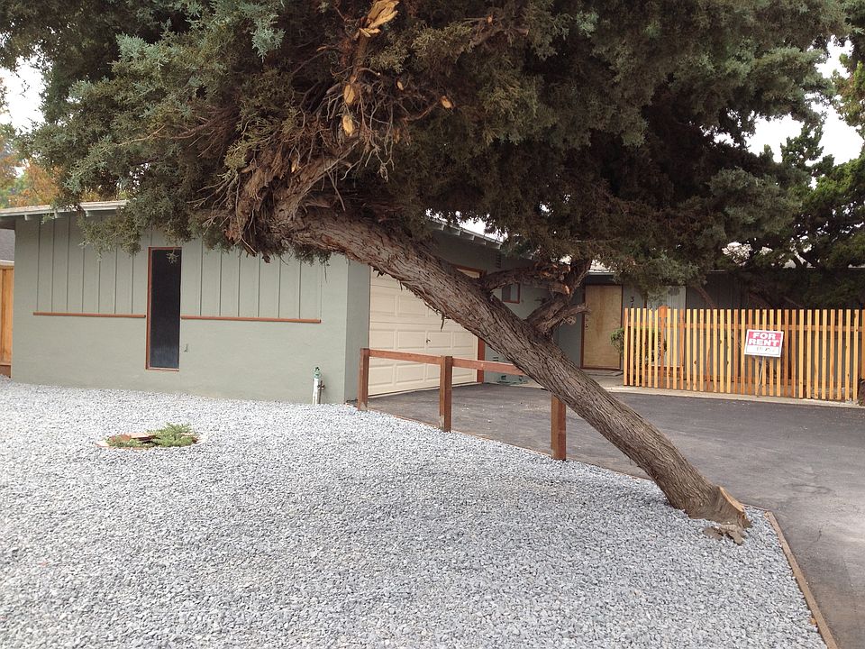 1st image of 3181 Leigh Ave