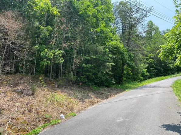 LOT 21 Point View Dr, Parrottsville, TN 37843