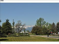 2nd image of 8584 Hollyhock Ln