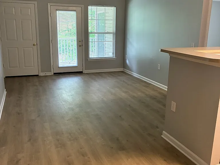 Lake Vista — Photo 9