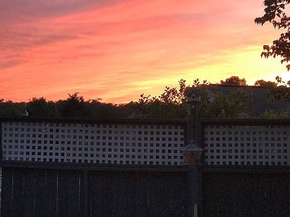 View from backyard deck