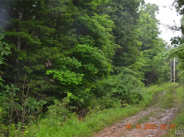 0 Old Cadet Rd, Bonne Terre, MO 63628