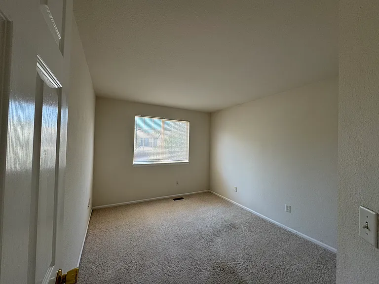 923 Grays Peak Dr — Photo 87