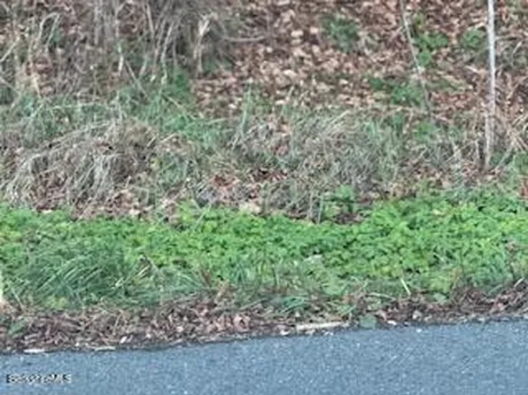 0 Clayton Mill River Rd, Mill River, MA 01244