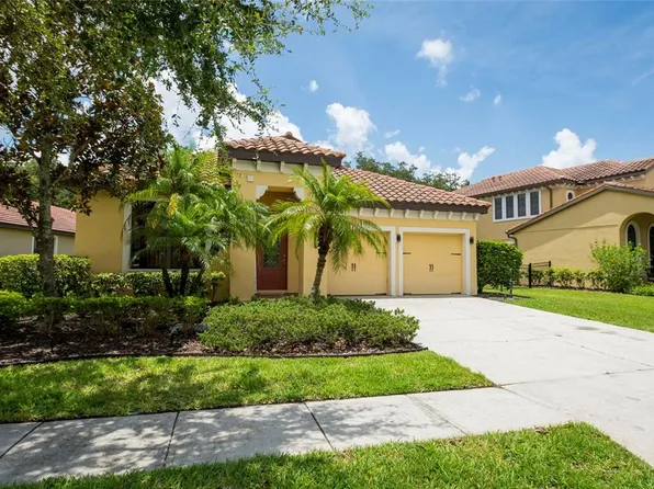 20322 Chestnut Grove Dr, Tampa, FL 33647