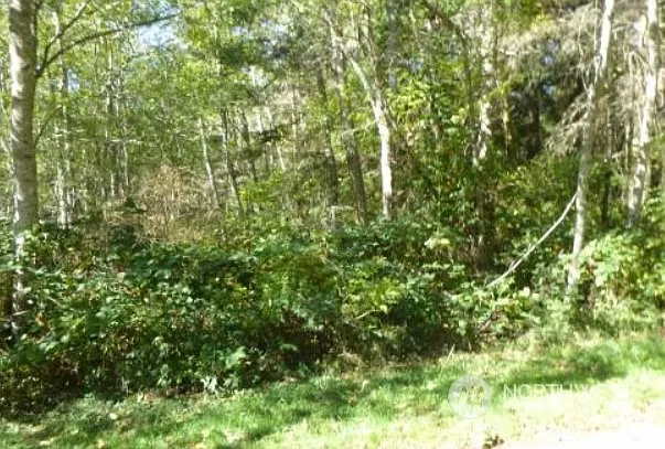 0 XXX Mastodon Drive photo 1