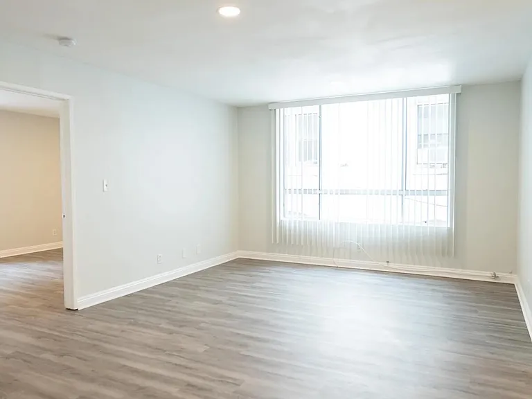 314 South Manhattan Place — Photo 4