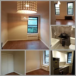 Rented by Blue Point NYC