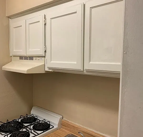 205 Morgan Pl #111 — Photo 3
