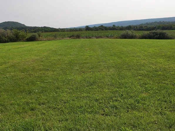 389 Hahn St Lot 47, Beavertown, PA 17813