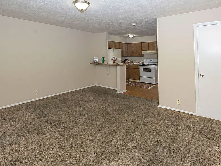 Shady Tree Apartments — Photo 4