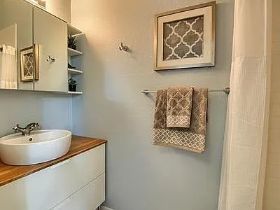 European-style master bath