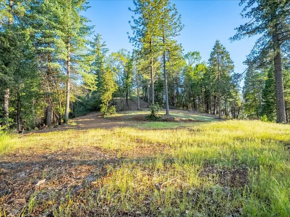 3260 Chipmunk Trl, Georgetown, CA 95634