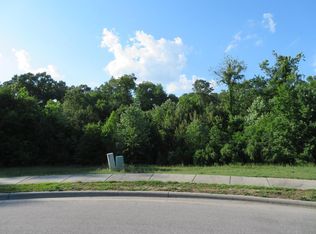 113 Skipping Stone Way, Roanoke Rapids, NC 27870