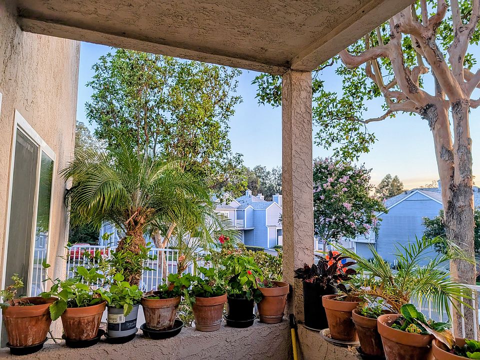 Patio view