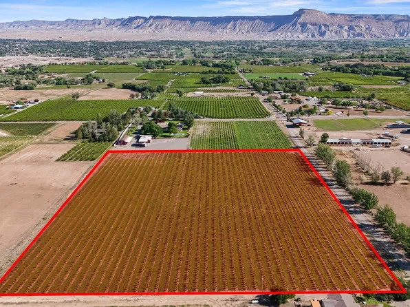 3343 C Rd, Palisade, CO 81526