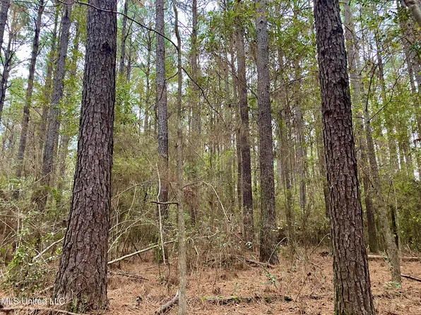 1 Smith County Rd #504, Raleigh, MS 39153