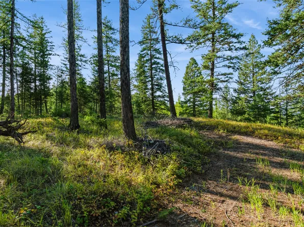 473 Antler Ridge Rd, Whitefish, MT 59937
