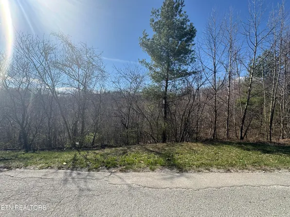 Grape Rough Rd, Oneida, TN 37841