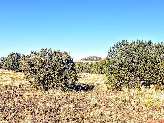 4th image of 8594 Kaibab Ln