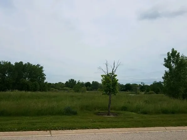 19998 W Old Meadow Trl, Lake Zurich, IL 60047