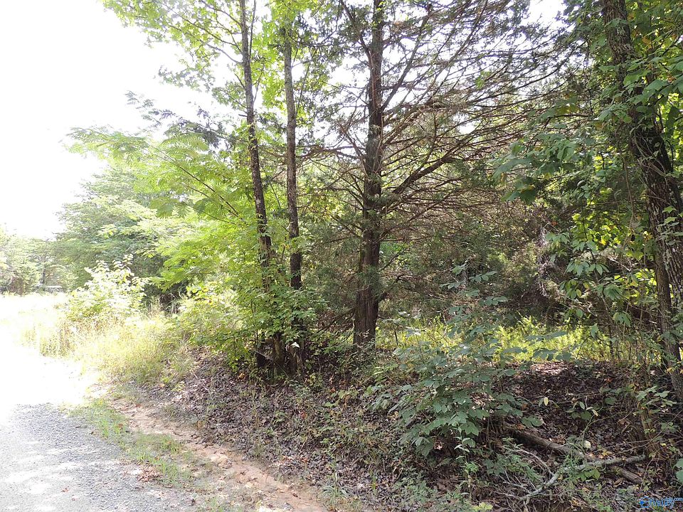 1st image of 22.4 ACRES County Road 9