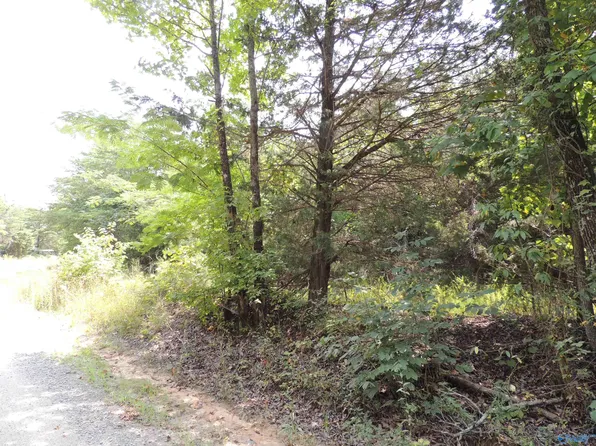 22.4 ACRES County Road 9, Moulton, AL 35650